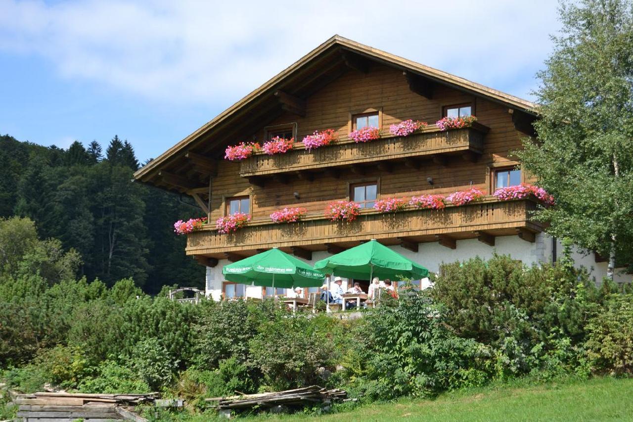 Berggasthof Sonnenalm Hotel Hauzenberg Kültér fotó